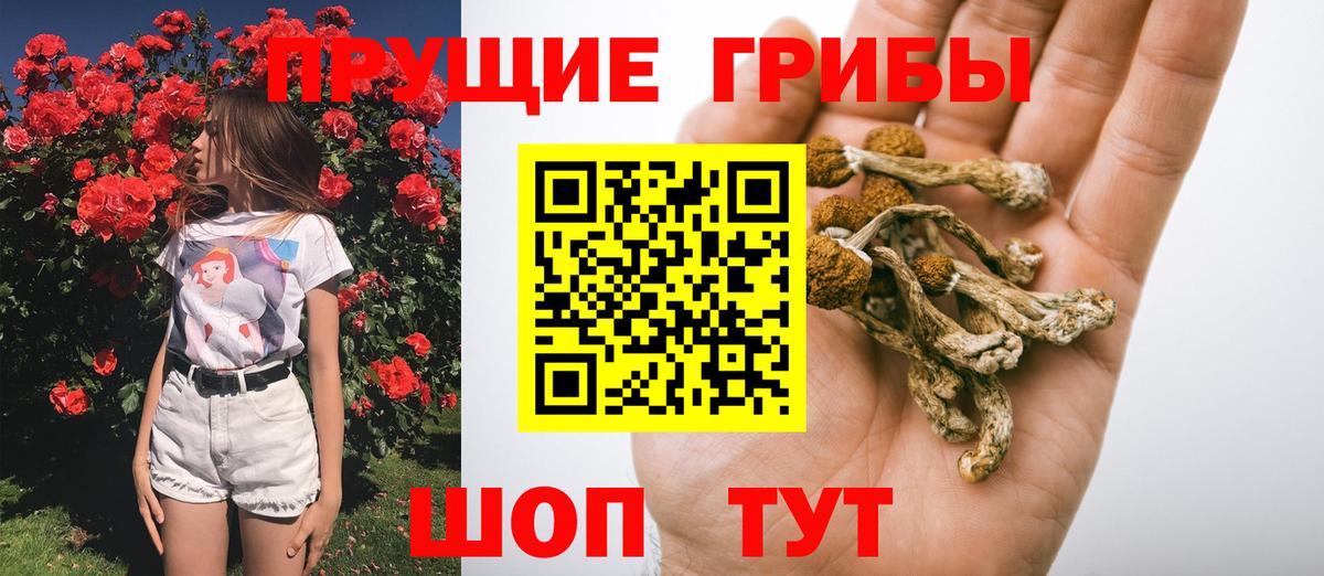 Псилоцибиновые грибы GOLDEN TEACHER  Псилоцибиновые грибы Magic Shrooms  Назарово  Вход с VPN 